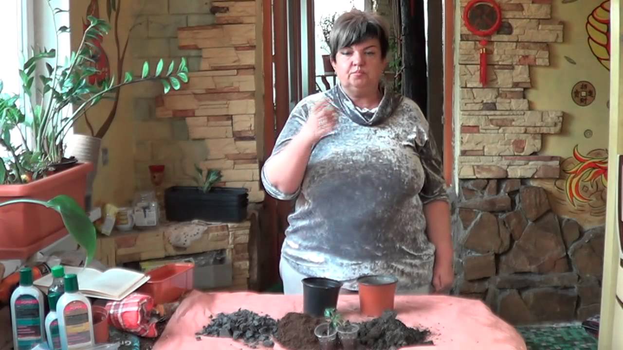 Нажмите, чтобы запустить видео