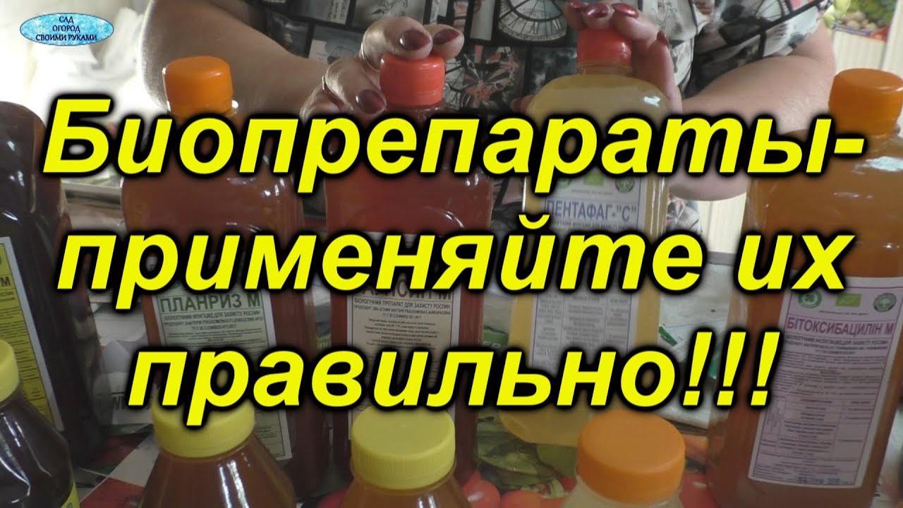 Нажмите, чтобы запустить видео