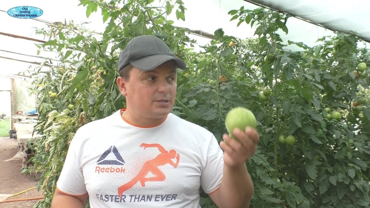 Нажмите, чтобы запустить видео
