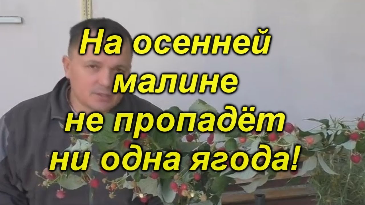 Нажмите, чтобы запустить видео