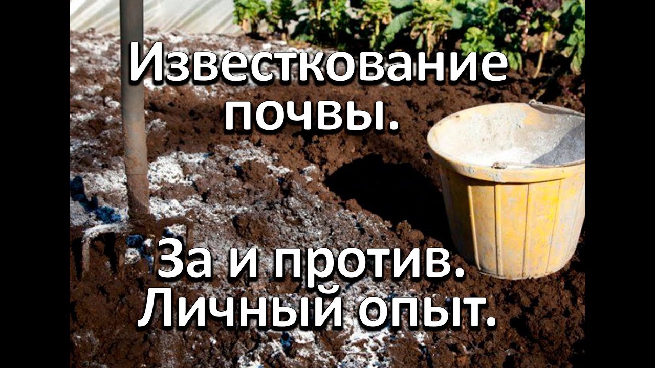 Нажмите, чтобы запустить видео