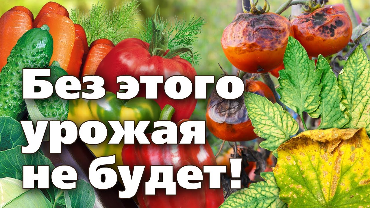 Нажмите, чтобы запустить видео
