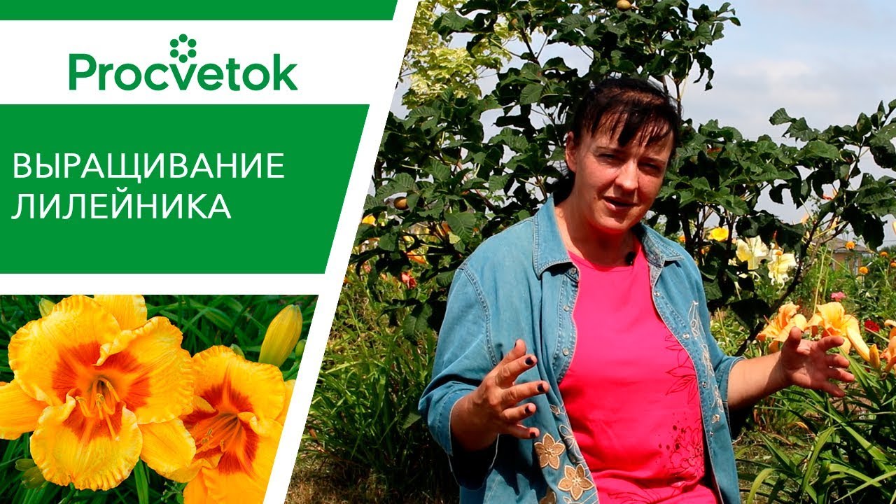 Нажмите, чтобы запустить видео