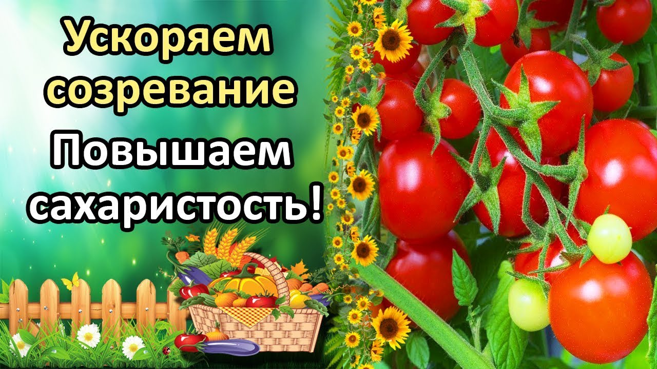 Нажмите, чтобы запустить видео