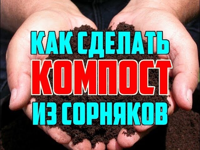 Нажмите, чтобы запустить видео
