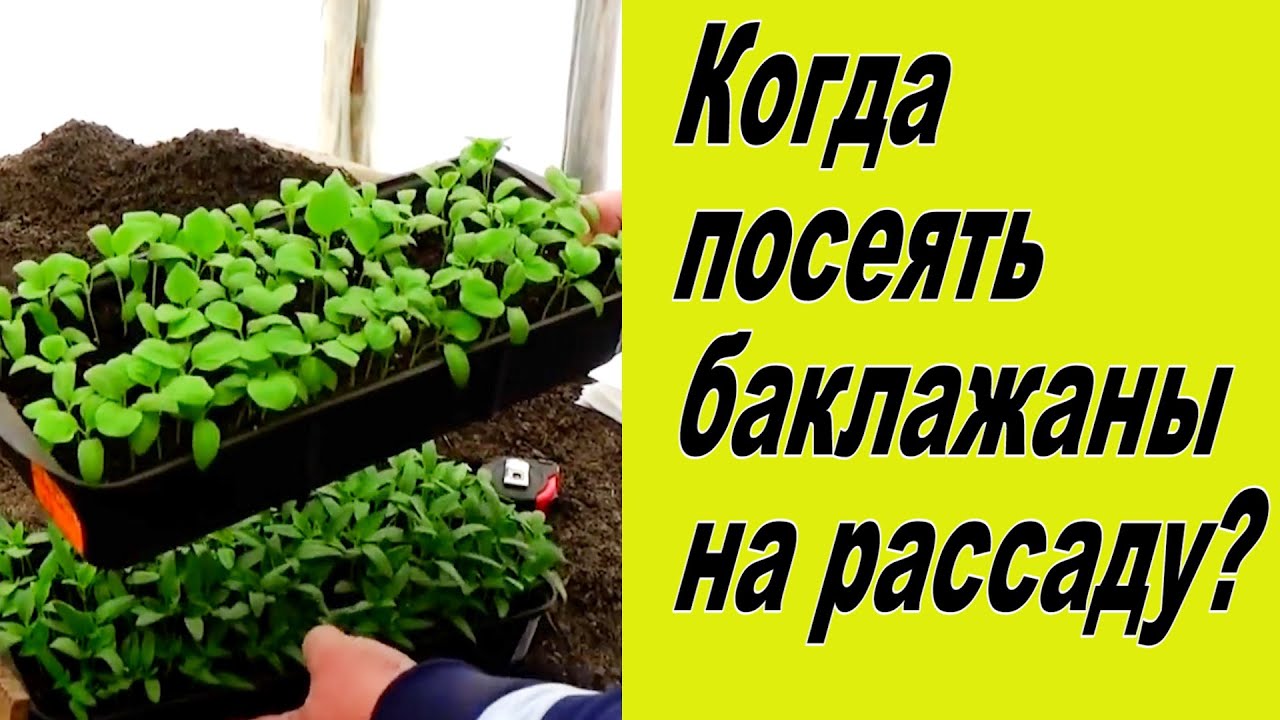 Нажмите, чтобы запустить видео