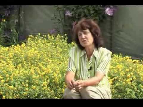 Нажмите, чтобы запустить видео