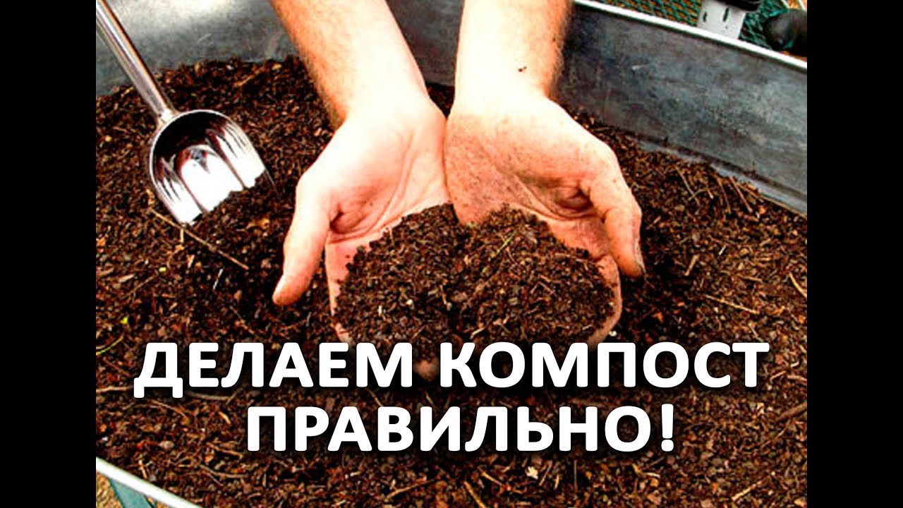 Нажмите, чтобы запустить видео