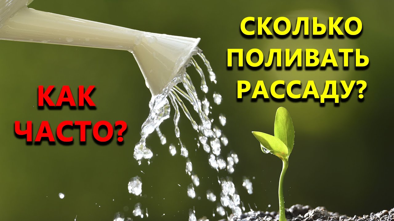Нажмите, чтобы запустить видео