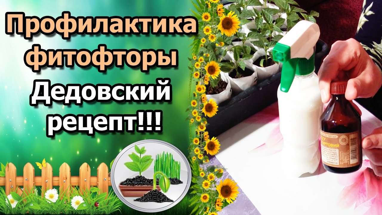 Нажмите, чтобы запустить видео