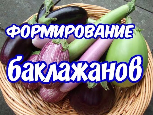Нажмите, чтобы запустить видео