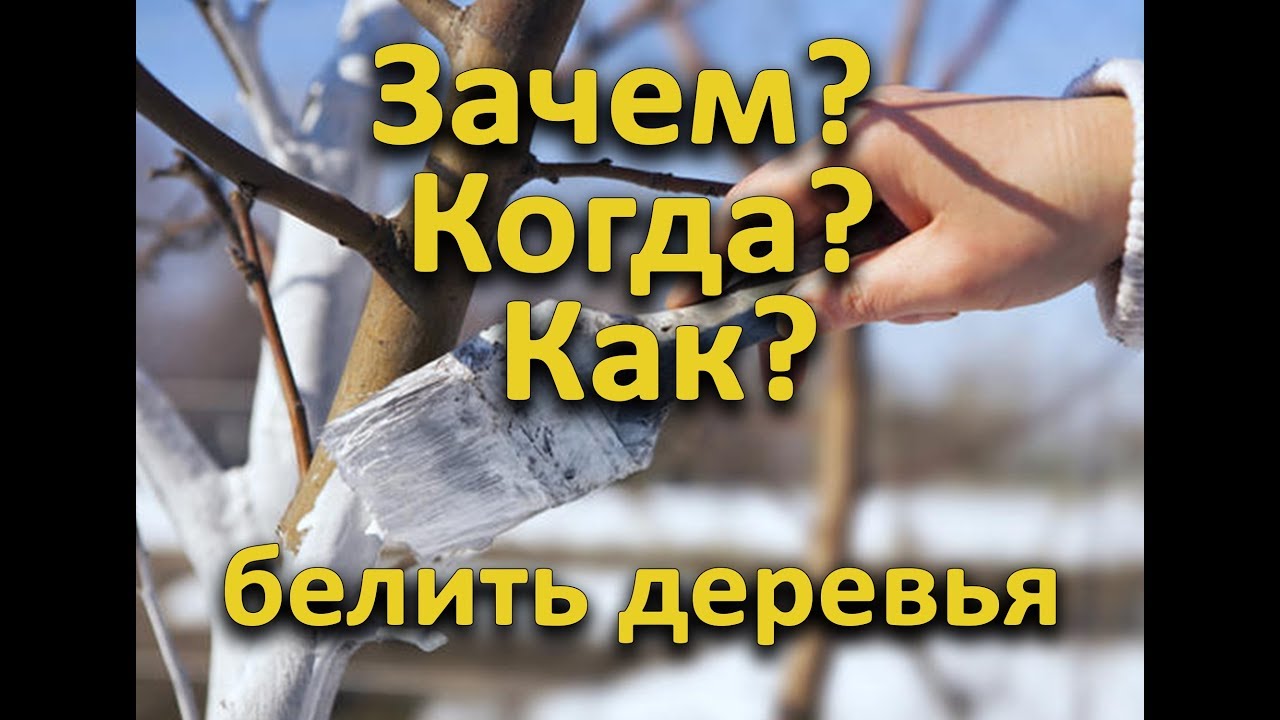 Нажмите, чтобы запустить видео