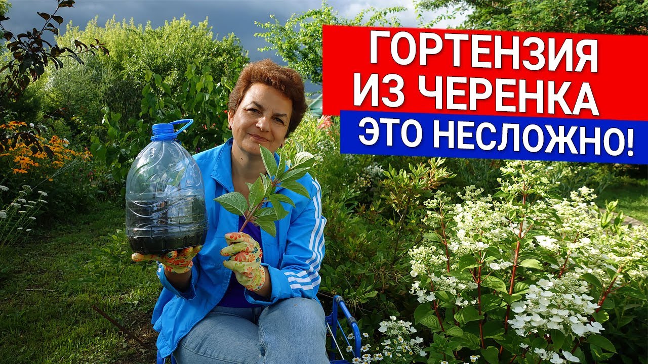 Нажмите, чтобы запустить видео