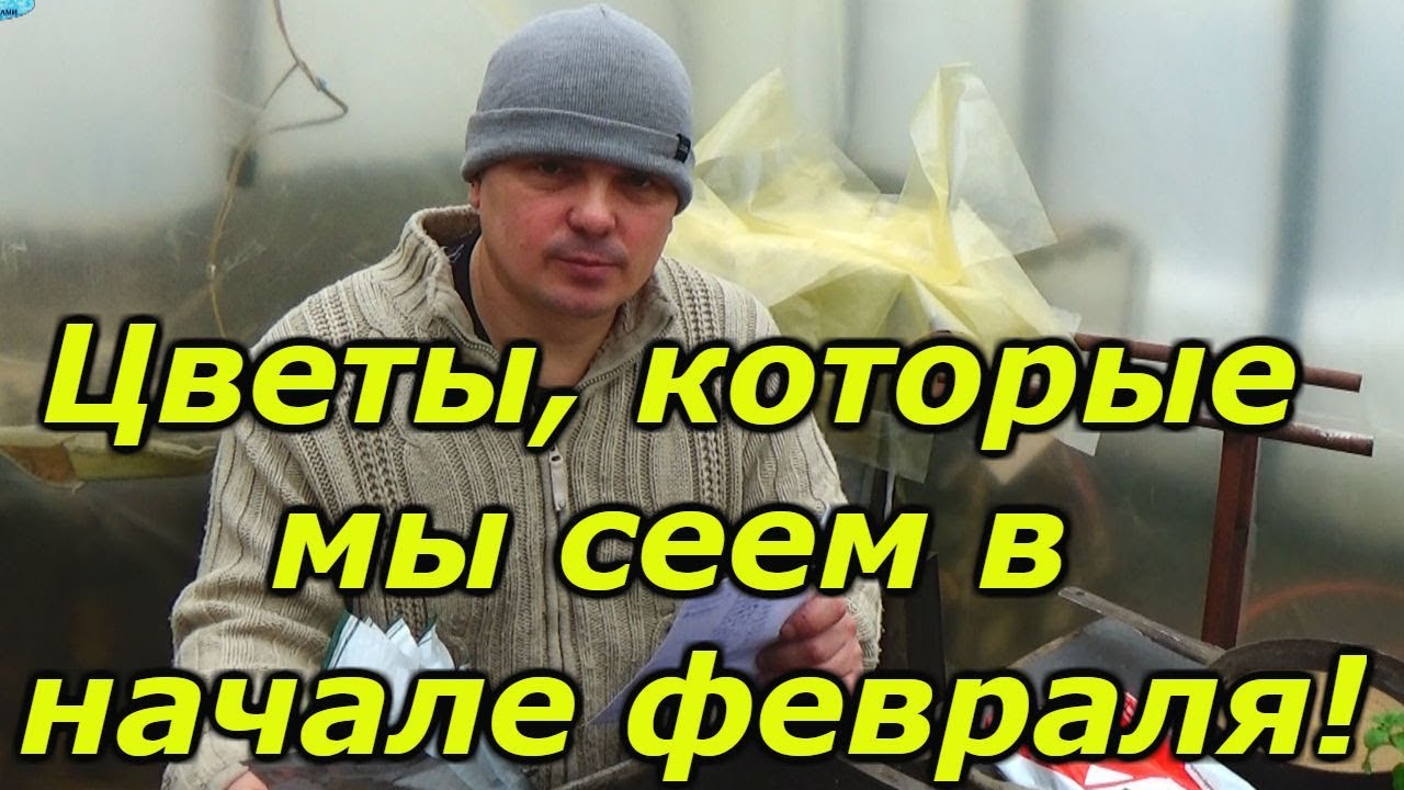 Нажмите, чтобы запустить видео