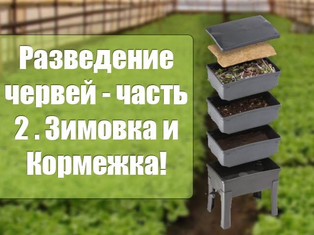 Нажмите, чтобы запустить видео