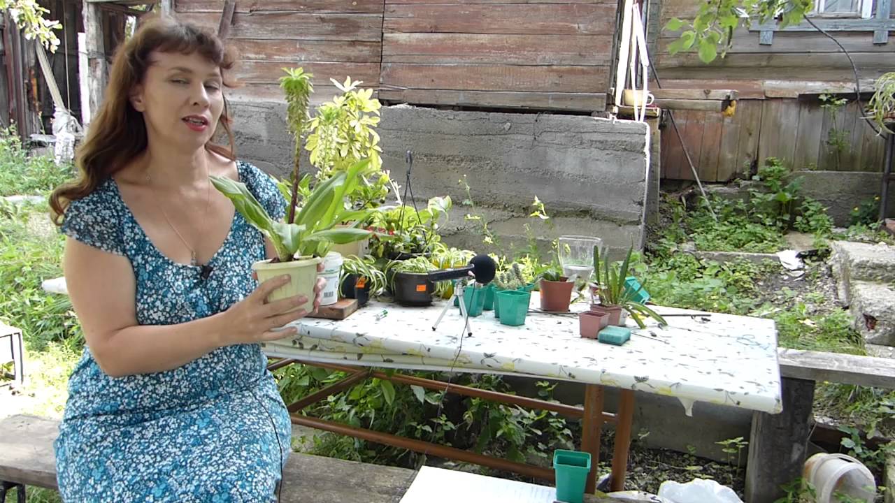 Нажмите, чтобы запустить видео