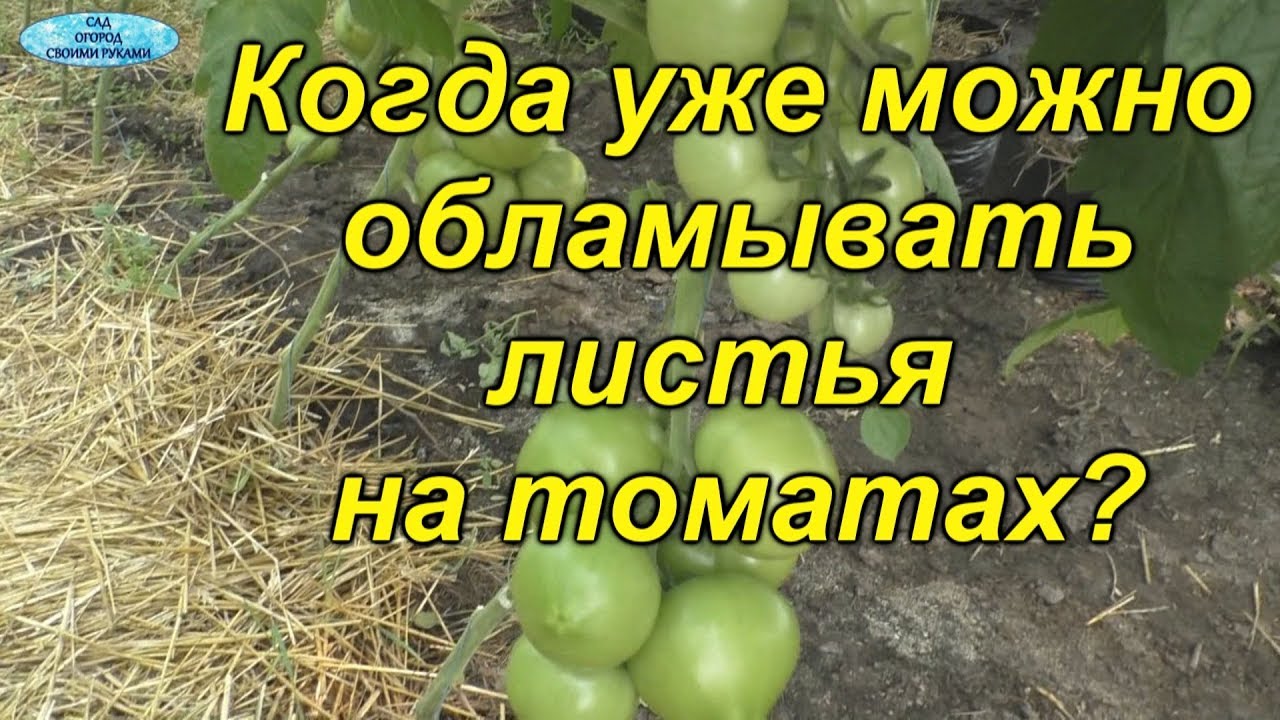Нажмите, чтобы запустить видео