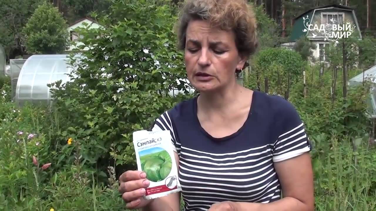 Нажмите, чтобы запустить видео