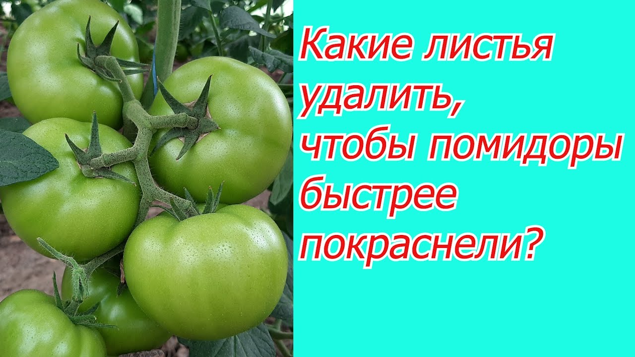 Нажмите, чтобы запустить видео
