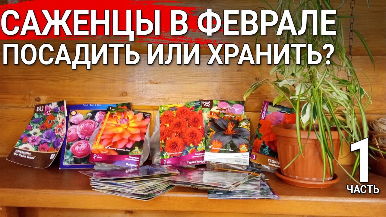 Нажмите, чтобы запустить видео