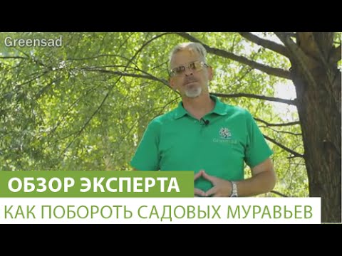Нажмите, чтобы запустить видео