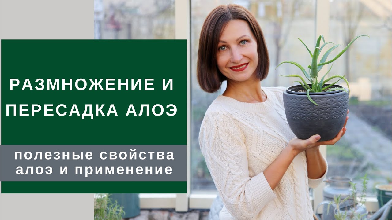 Нажмите, чтобы запустить видео