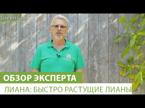 Нажмите, чтобы запустить видео