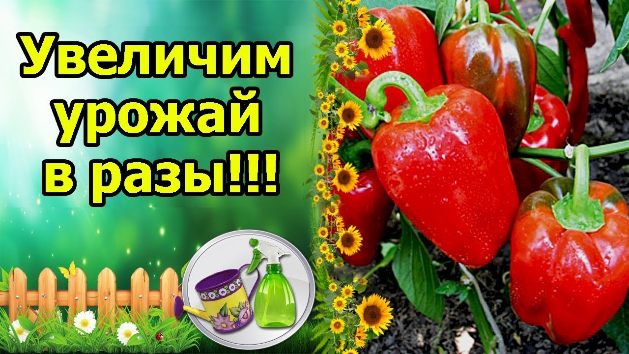 Нажмите, чтобы запустить видео