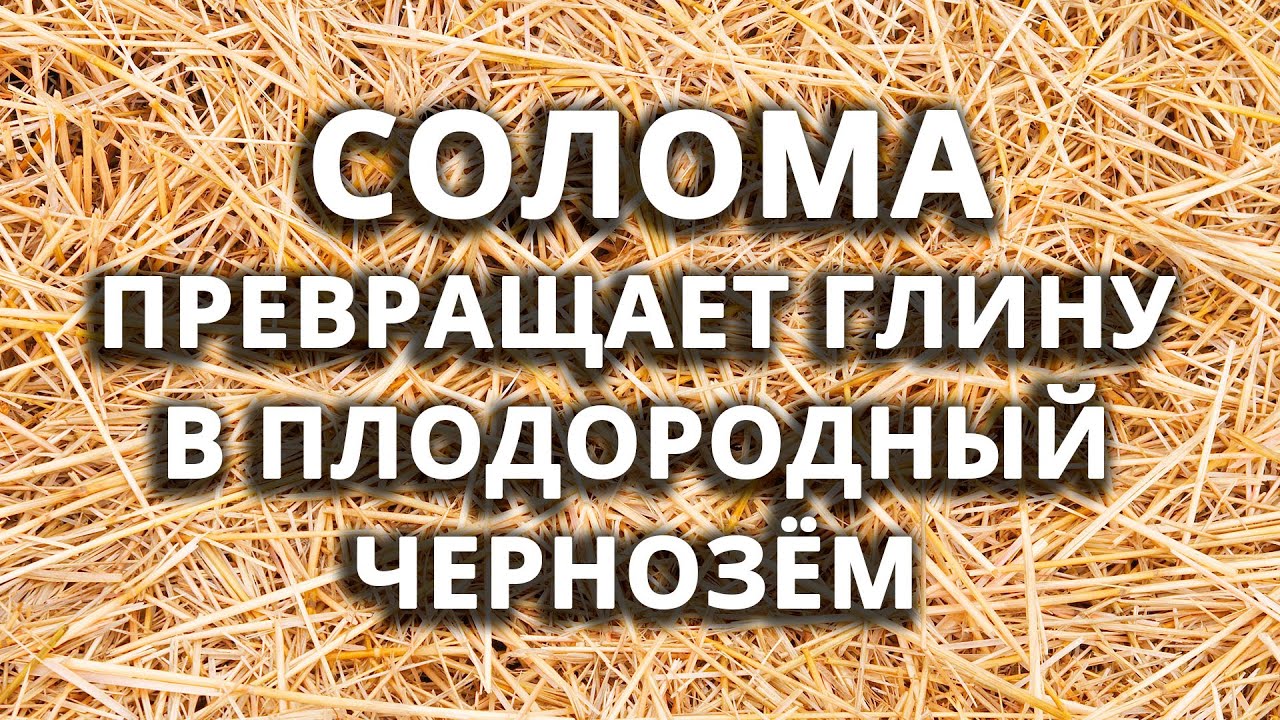 Нажмите, чтобы запустить видео