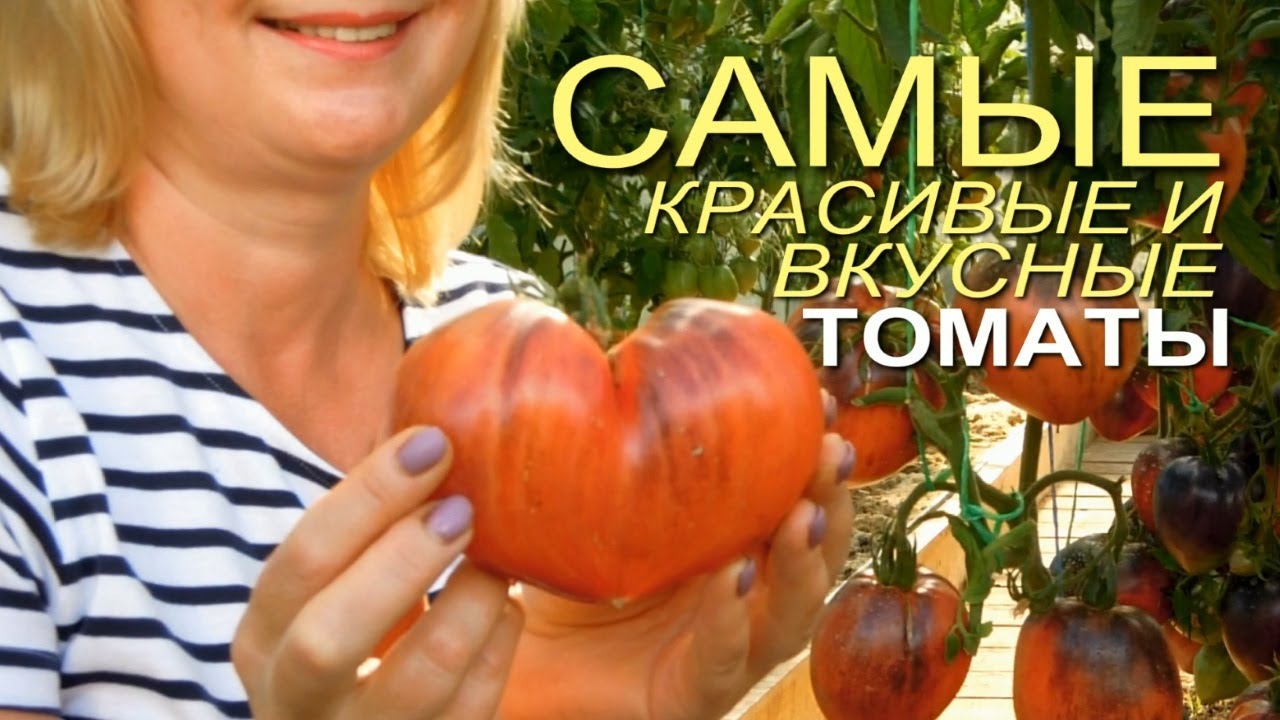 Нажмите, чтобы запустить видео
