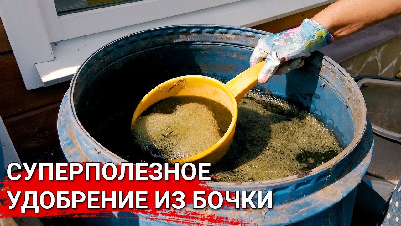 Нажмите, чтобы запустить видео