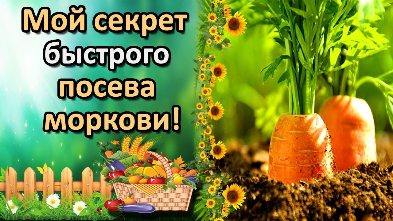Нажмите, чтобы запустить видео