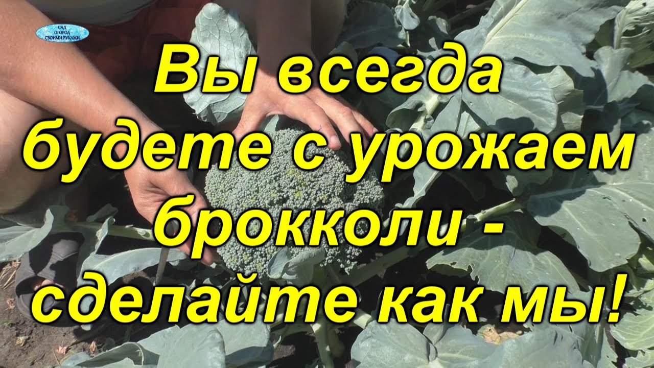 Нажмите, чтобы запустить видео