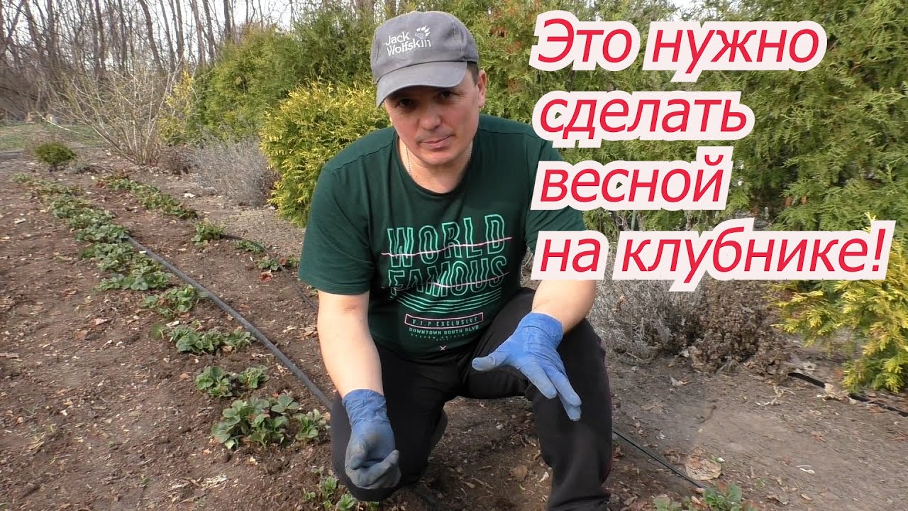 Нажмите, чтобы запустить видео