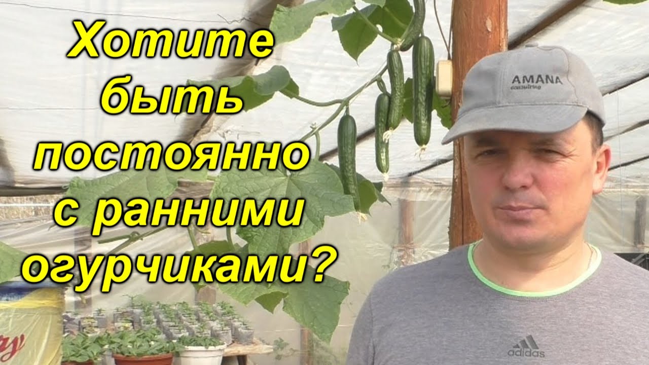 Нажмите, чтобы запустить видео
