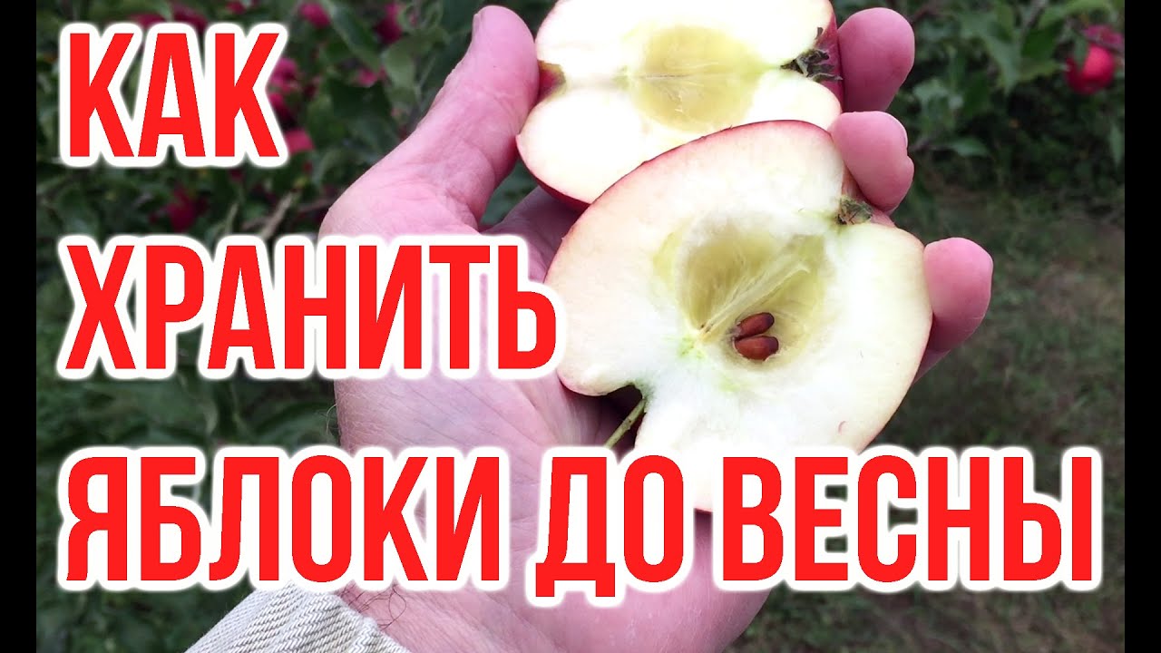 Нажмите, чтобы запустить видео