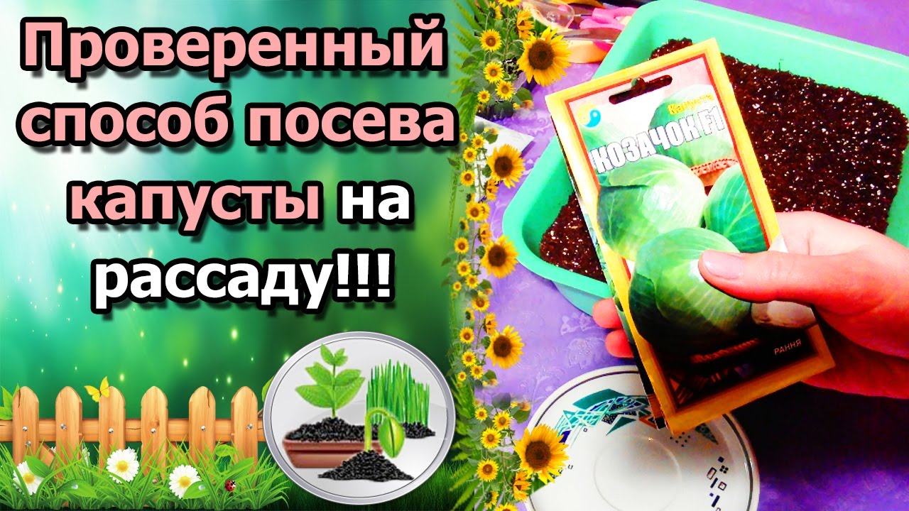 Нажмите, чтобы запустить видео