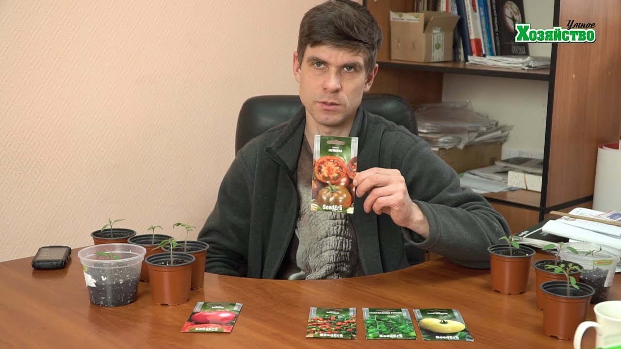 Нажмите, чтобы запустить видео