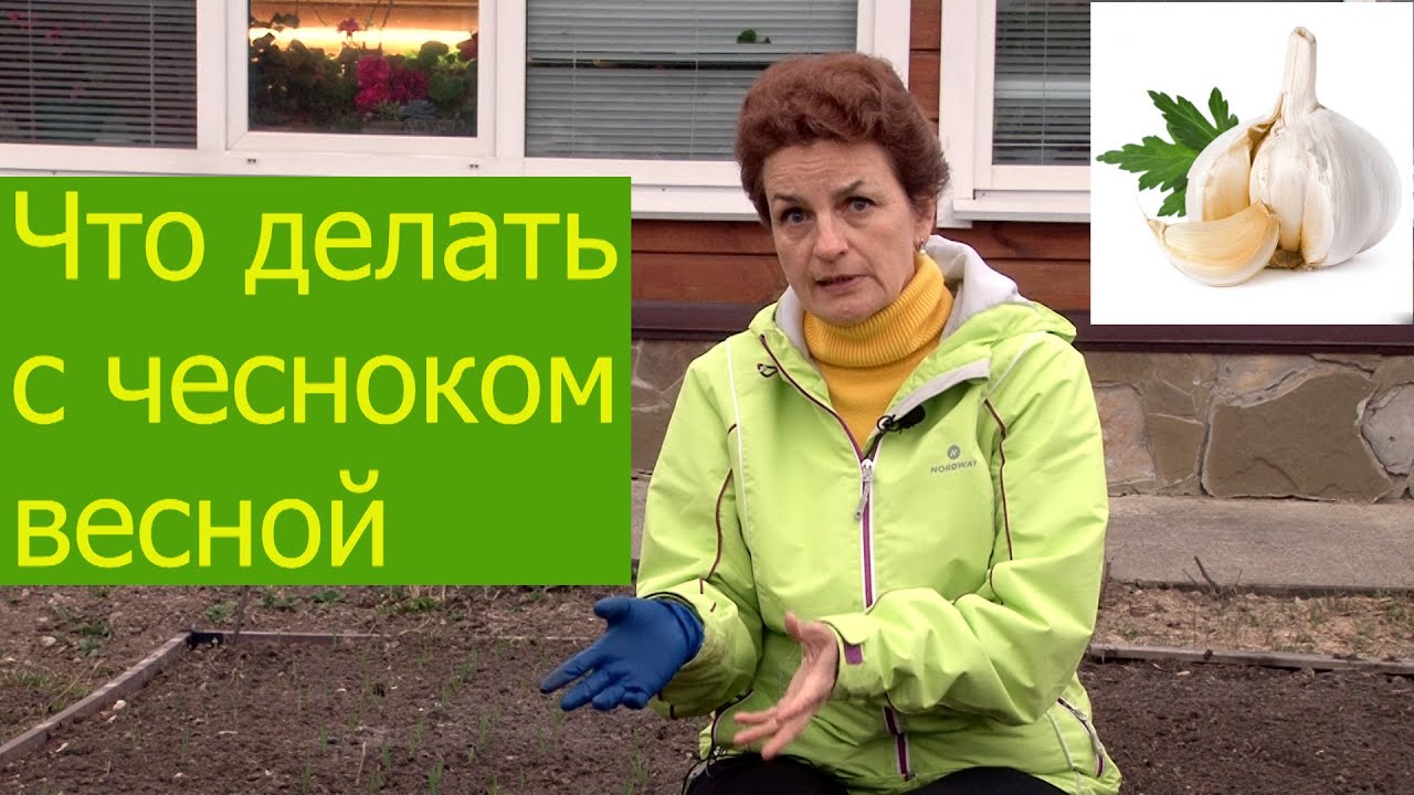 Нажмите, чтобы запустить видео