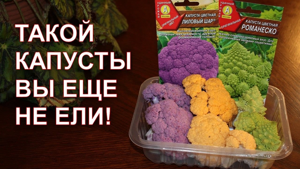 Нажмите, чтобы запустить видео