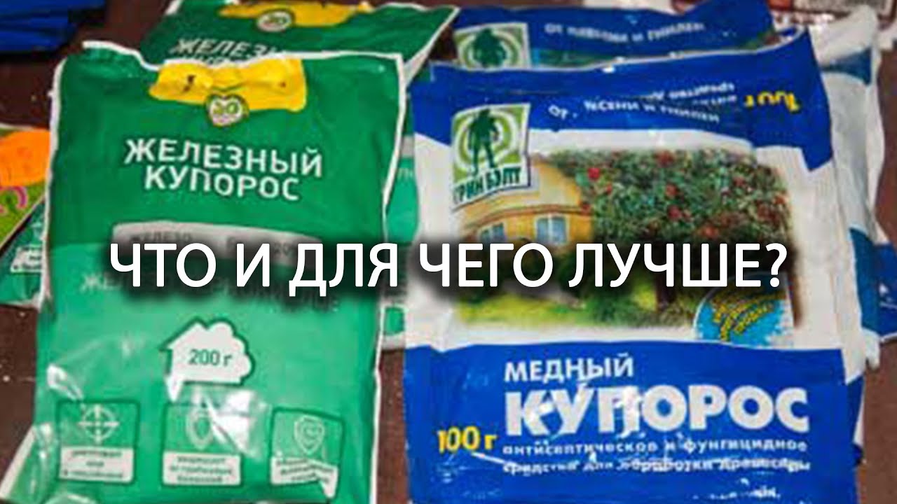 Нажмите, чтобы запустить видео