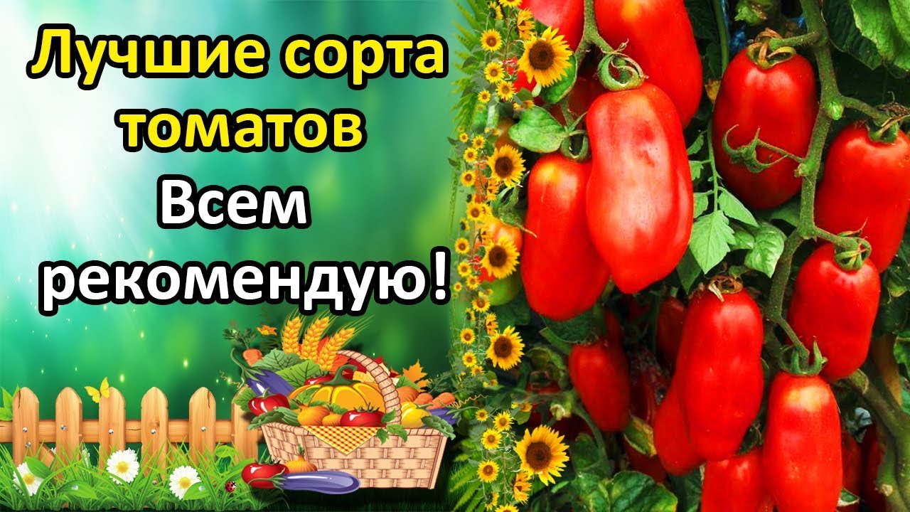 Нажмите, чтобы запустить видео