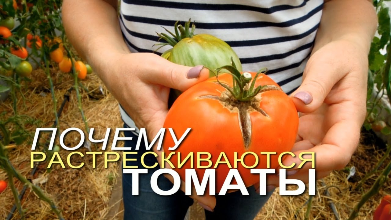 Нажмите, чтобы запустить видео