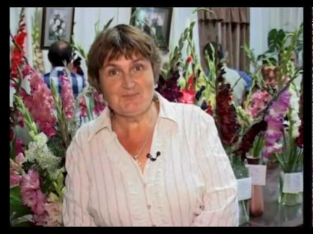 Нажмите, чтобы запустить видео