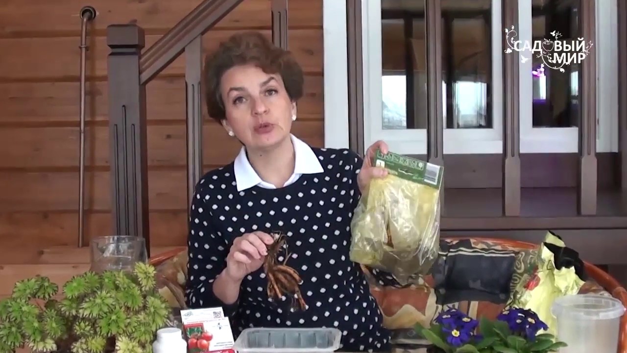 Нажмите, чтобы запустить видео