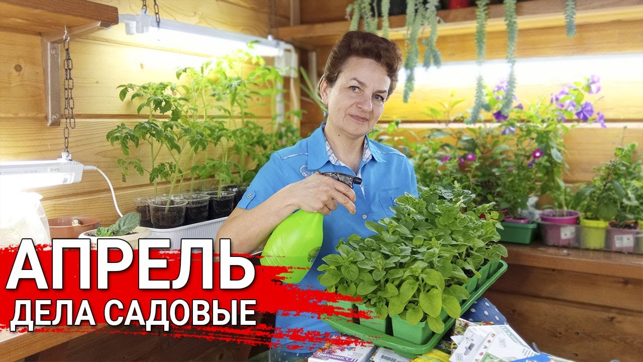 Нажмите, чтобы запустить видео