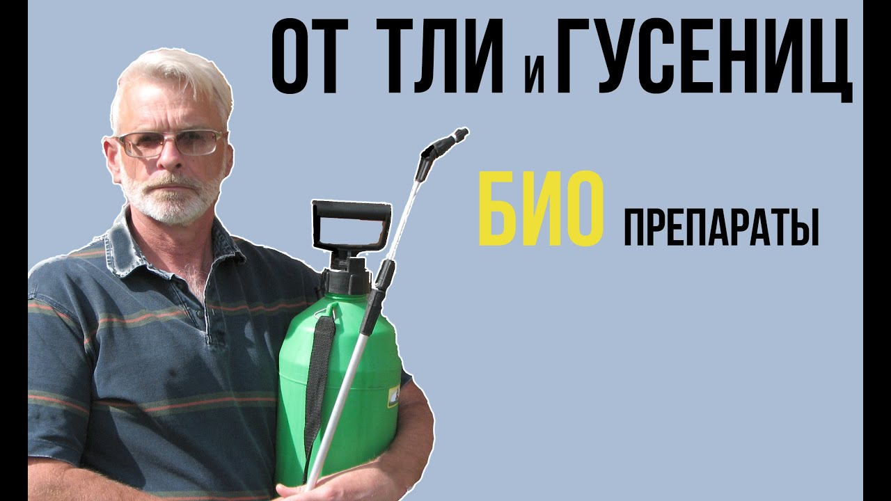Нажмите, чтобы запустить видео