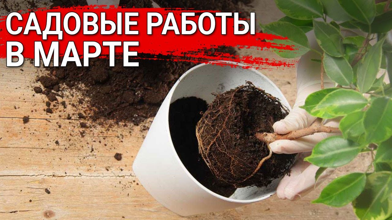 Нажмите, чтобы запустить видео