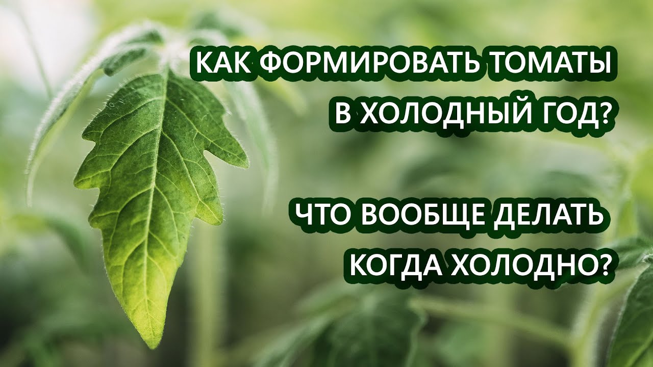 Нажмите, чтобы запустить видео