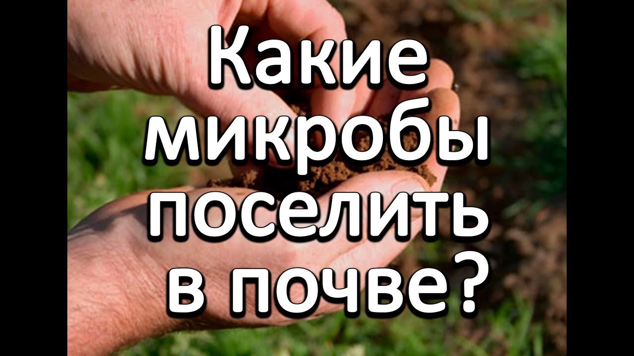 Нажмите, чтобы запустить видео